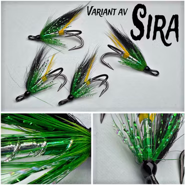 SIRA ~ variant