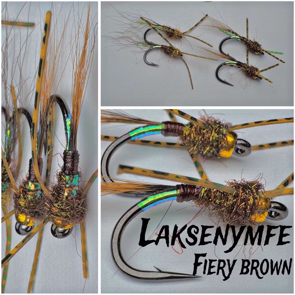 - LAKSENYMFER -