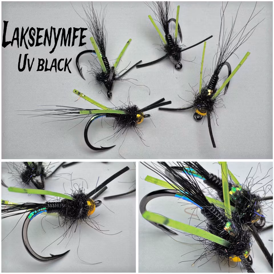 - LAKSENYMFER -