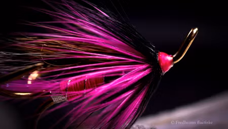 Ally's Shrimp rosa/sort treble