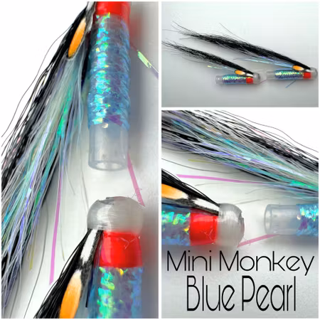 Blue Pearl - minimonkey