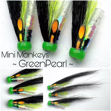 Green Pearl - minimonkey