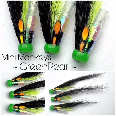 Green Pearl - minimonkey