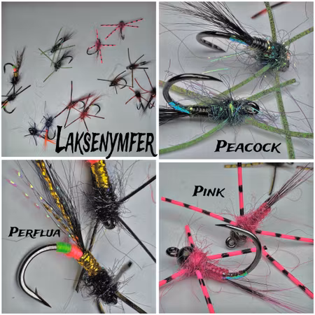 - LAKSENYMFER -