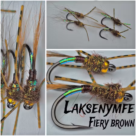 Laksenymfe - Fiery Brown