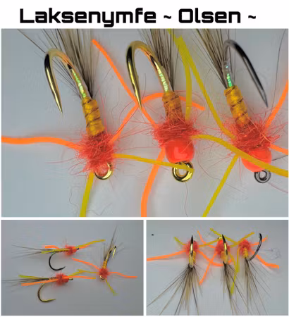Laksenymfe - Olsen
