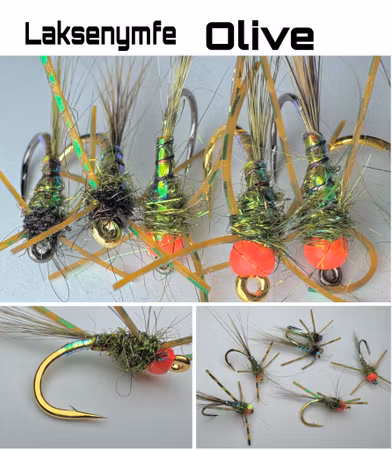 Laksenymfe - Oliven