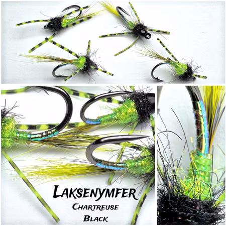 Laksenymfe- Chartreuse