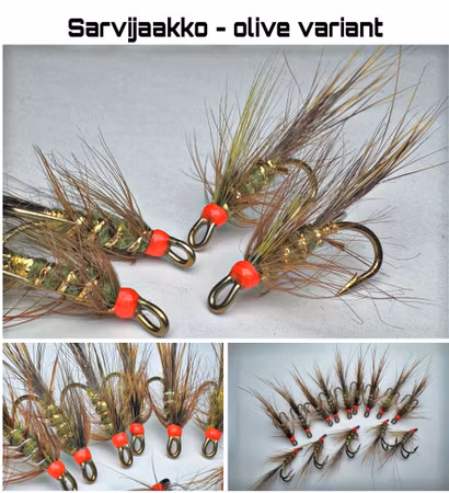 Sarvijaakko - olive variant