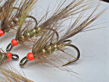 Sarvijaakko - olive variant