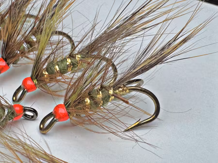 Sarvijaakko - olive variant