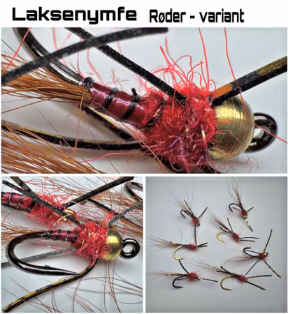 Laksenymfe - Røder