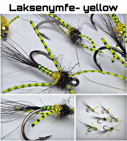Laksenymfe - Black & Yellow