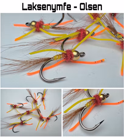 Laksenymfe - Olsen