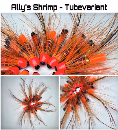 Ally’s Shrimp - tubevariant