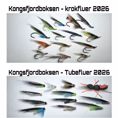 KONGSFJORDBOKSEN 2026