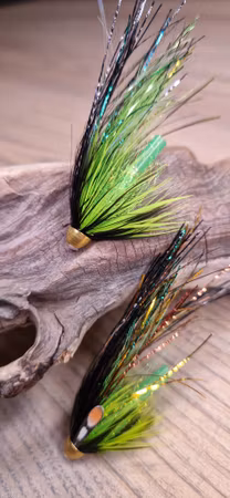 BG Flashwing