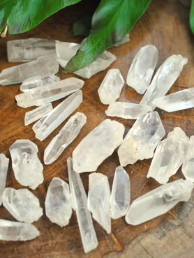 Lemurian (Lemurian Seed)