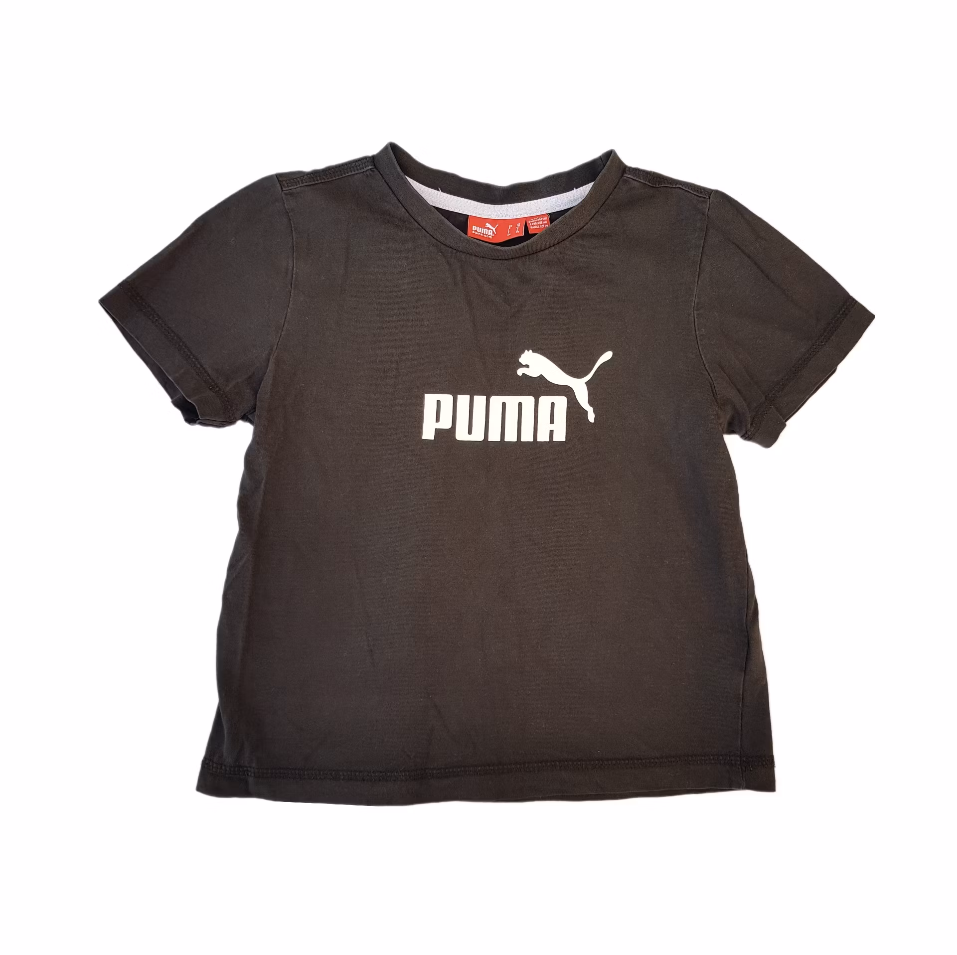 Storlek 116, Puma