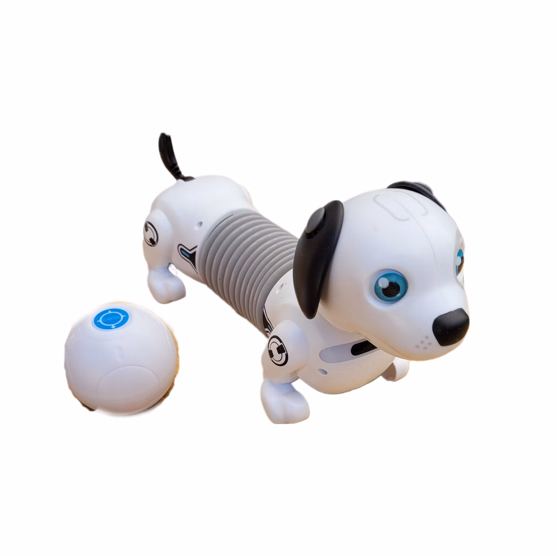 Robothund