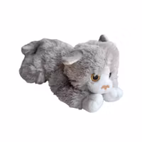 Katt, Biltema