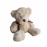 Nalle, Teddykompaniet