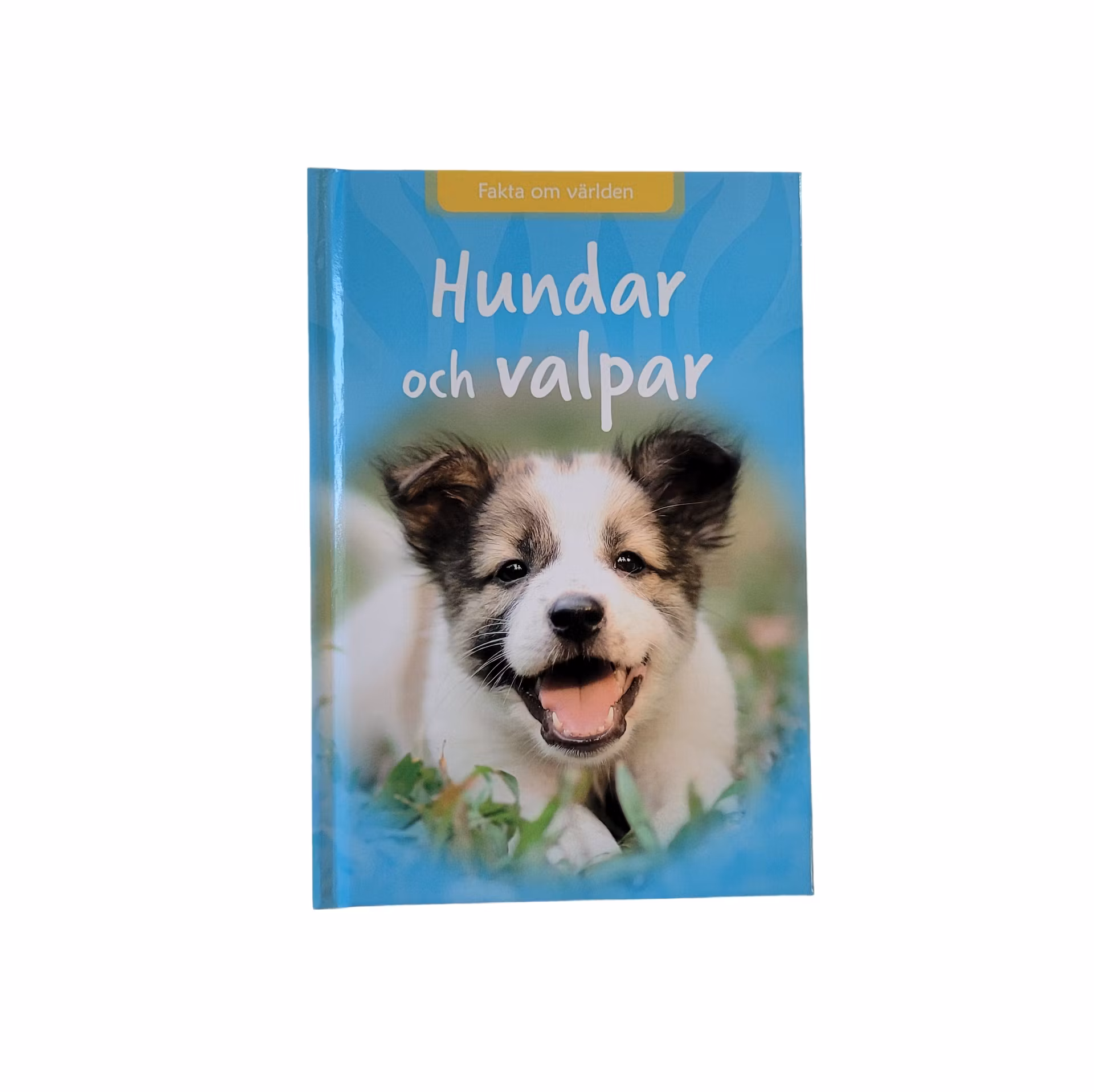 Hundar och valpar, skick A