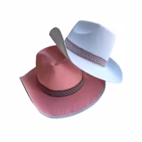 Cowboyhattar, High chaparall, skick B