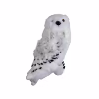 Ugglan Hedwig, Harry Potter, skick A
