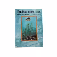 Bubblan under isen, skick B