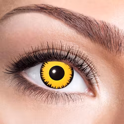 FÄRGLINSER, LEJON 1 ÅR