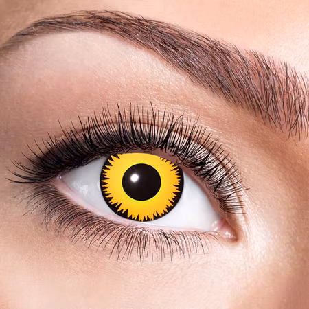 FÄRGLINSER, LEJON 1 ÅR