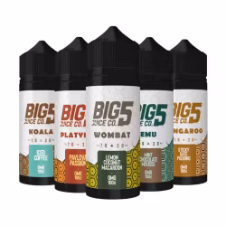 Big 5 shortfill 120ml