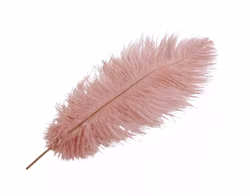 Strutsfjäder gammelrosa