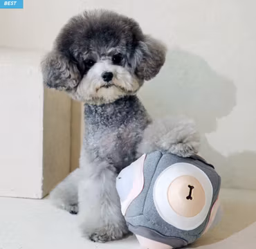 Sniff sniff boll 3.0