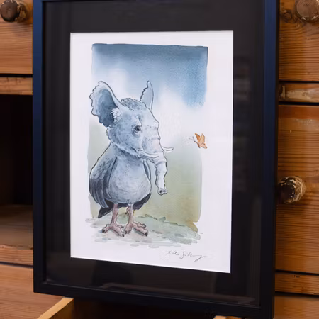 När jag mötte min vän elefantfågeln