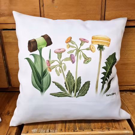 Kudde kakblommor