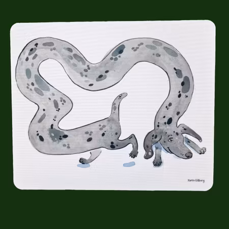 Musmatta en väldigt lång tax