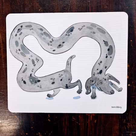 Musmatta en väldigt lång tax