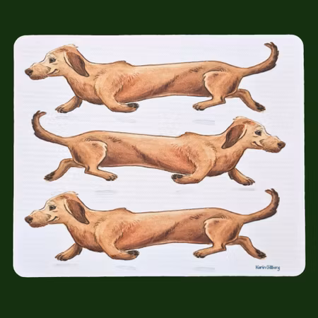 Musmatta med tre taxar