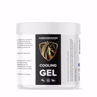 Kylande Gel (300ml)