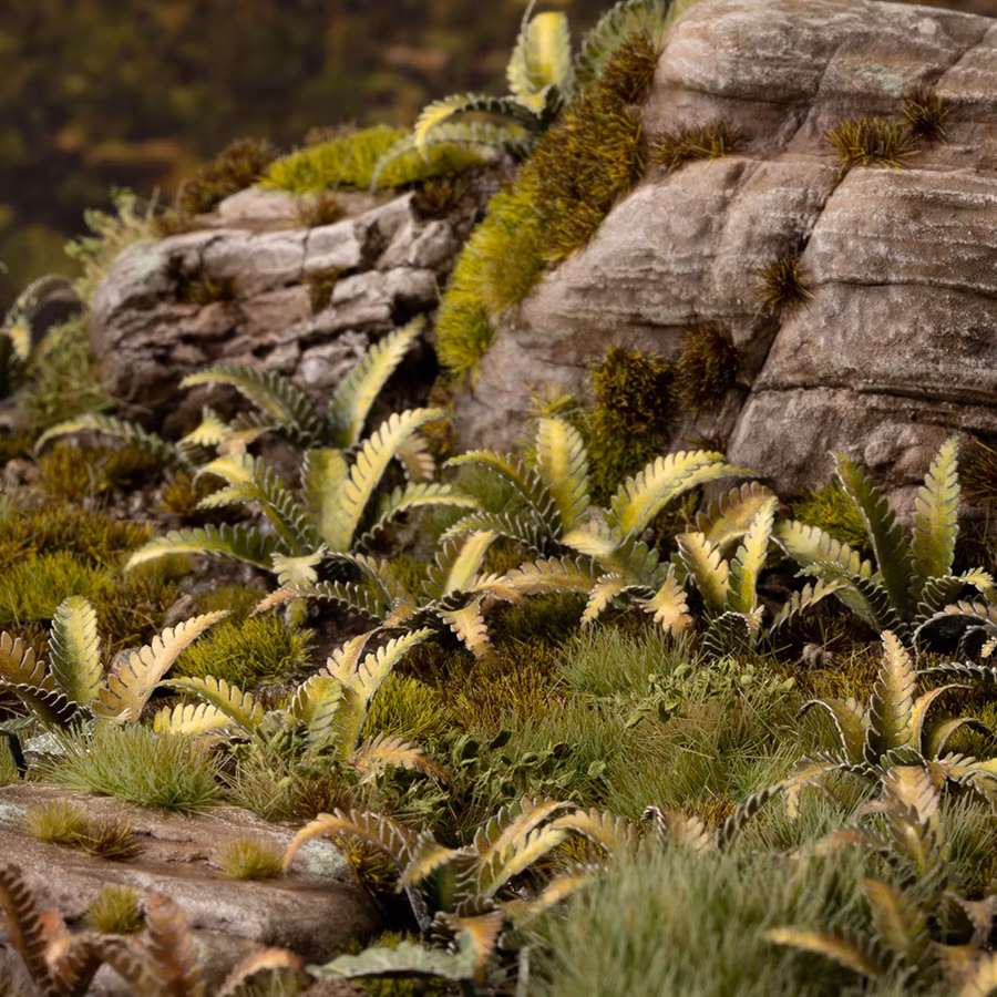 Deer Fern