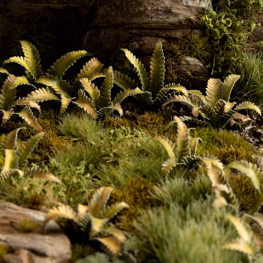 Deer Fern