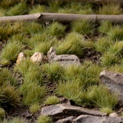 Green (4mm) - wild