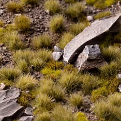 Dry Green 6mm - wild