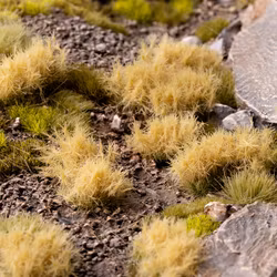 Dense Beige 6mm - wild