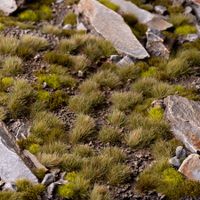Mixed Green (6mm) - Wild