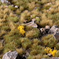 Highland Tuft Set - Wild