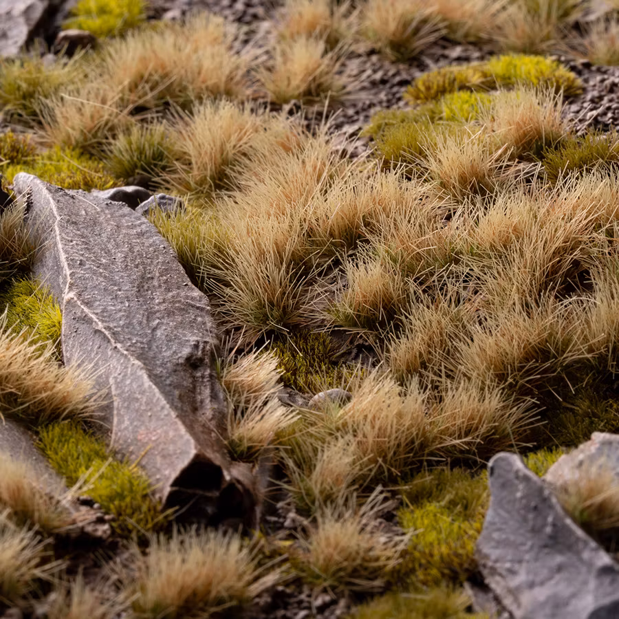 Autumn (5mm) - wild