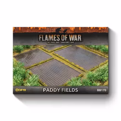 Features: Paddy Fields (x4) - BB170